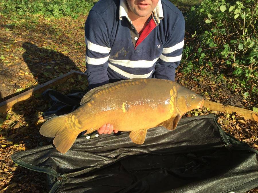 Combley Carp Stocking 22.11.2016 Image