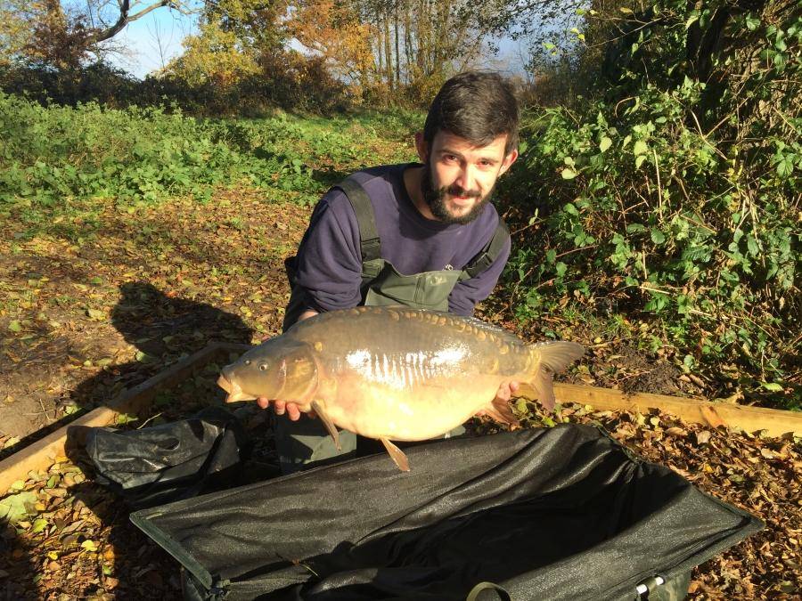 Combley Carp Stocking 22.11.2016 Image