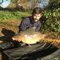 Combley Carp Stocking 22.11.2016 Image