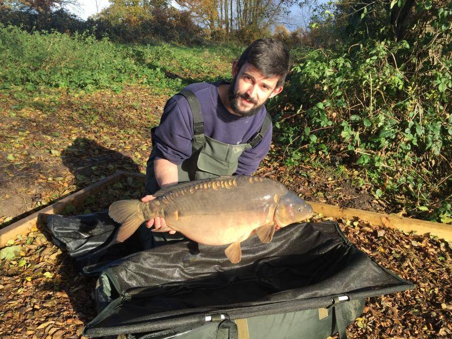 Combley Carp Stocking 22.11.2016 Image