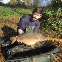 Combley Carp Stocking 22.11.2016 Image