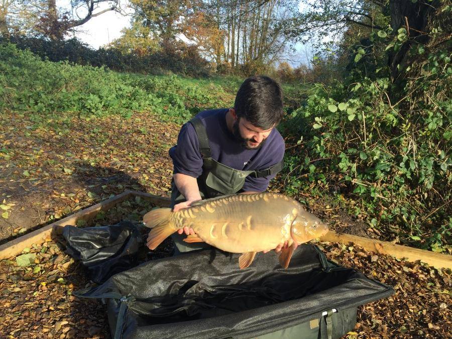 Combley Carp Stocking 22.11.2016 Image