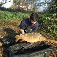 Combley Carp Stocking 22.11.2016 Image