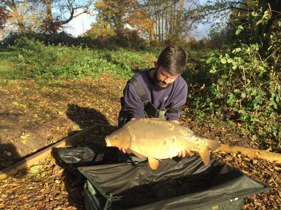 Combley Carp Stocking 22.11.2016 Image