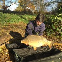 Combley Carp Stocking 22.11.2016 Image