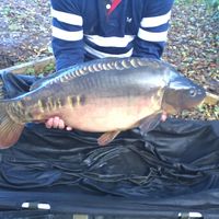 Combley Carp Stocking 22.11.2016 Image