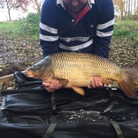 Combley Carp Stocking 22.11.2016 Image