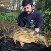 Combley Carp Stocking 22.11.2016 Image