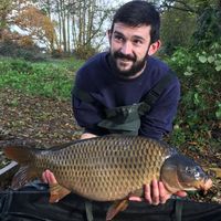 Combley Carp Stocking 22.11.2016 Image