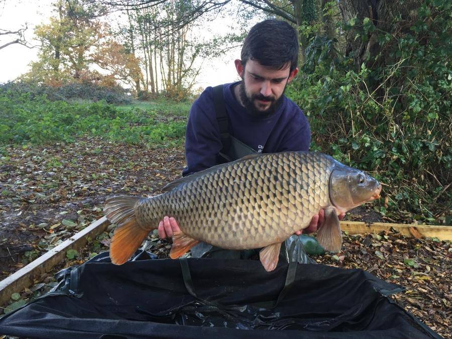 Combley Carp Stocking 22.11.2016 Image