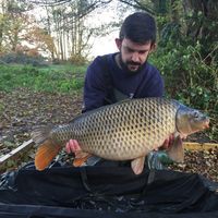 Combley Carp Stocking 22.11.2016 Image