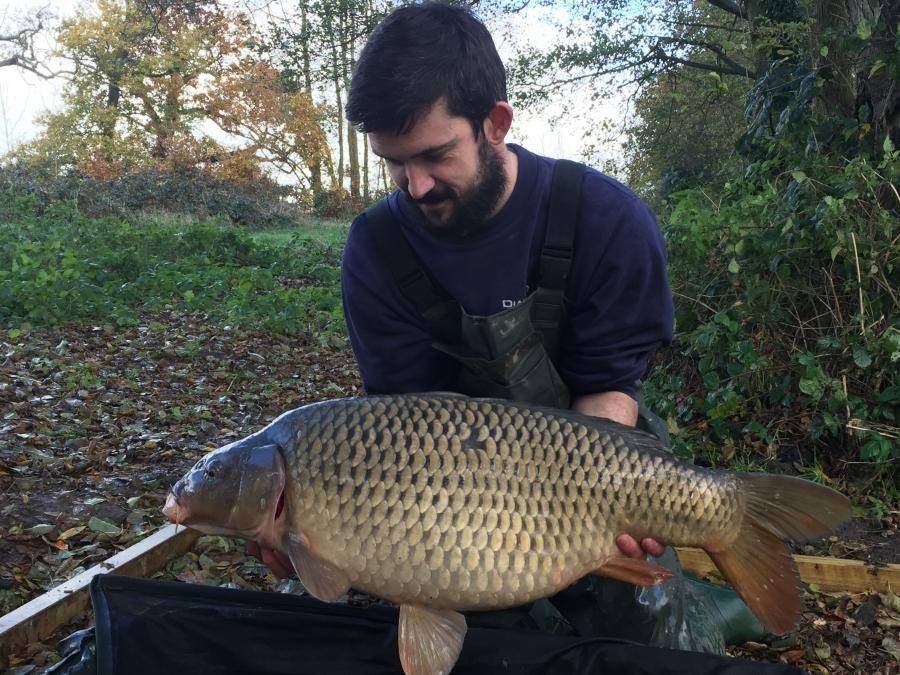 Combley Carp Stocking 22.11.2016 Image