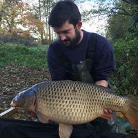 Combley Carp Stocking 22.11.2016 Image