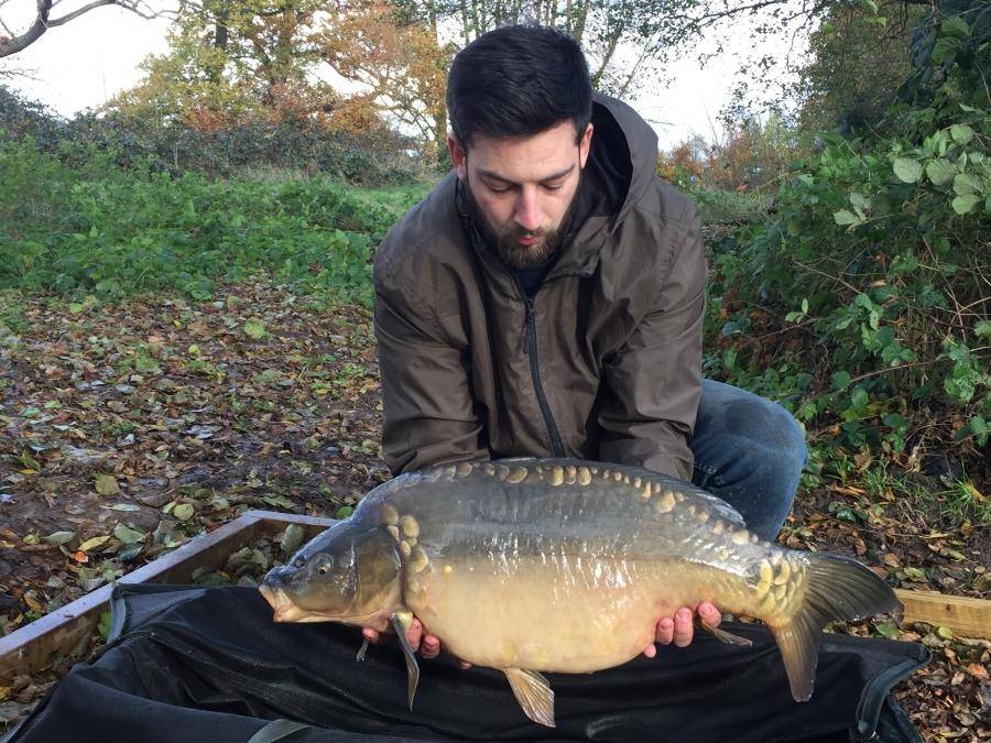 Combley Carp Stocking 22.11.2016 Image