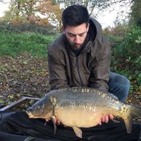 Combley Carp Stocking 22.11.2016 Image