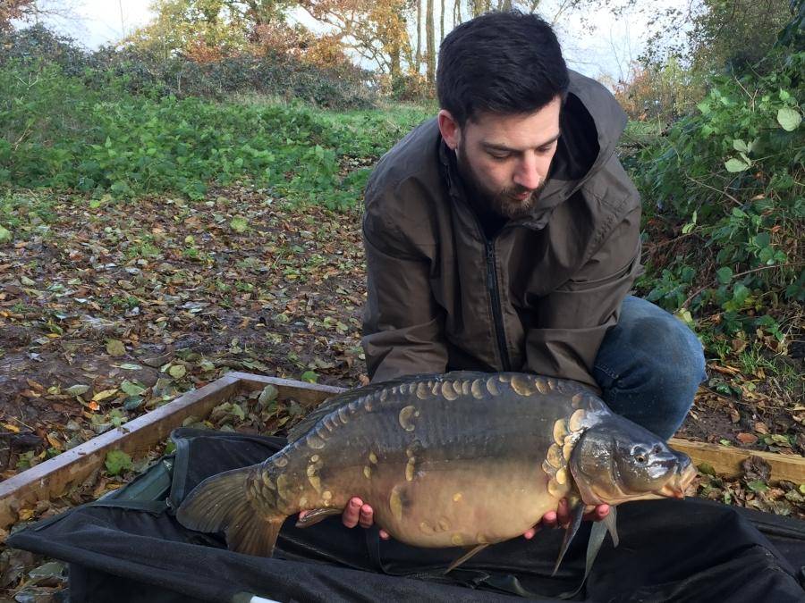 Combley Carp Stocking 22.11.2016 Image