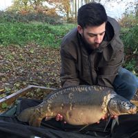 Combley Carp Stocking 22.11.2016 Image