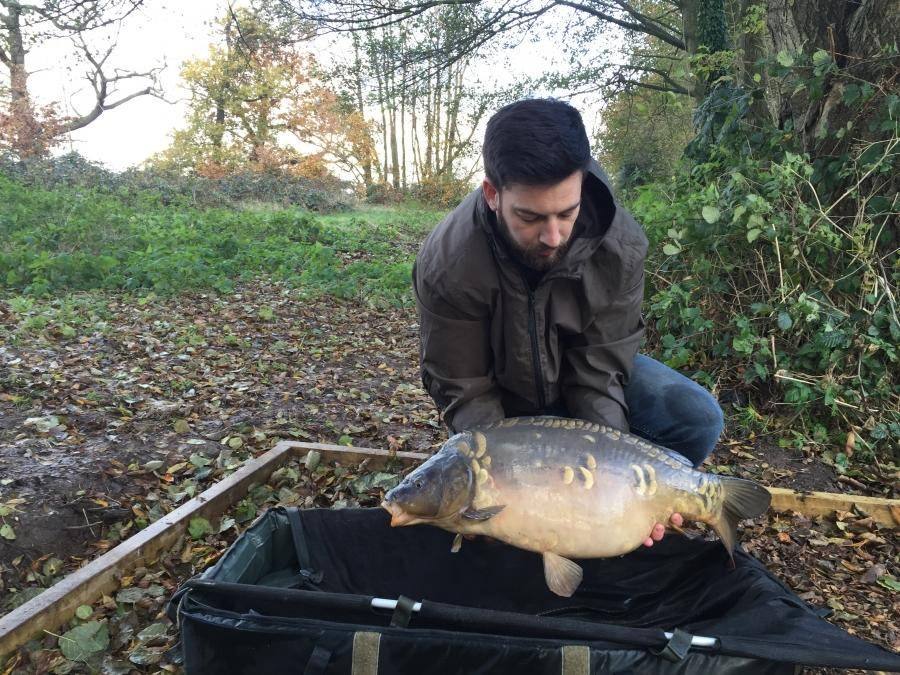 Combley Carp Stocking 22.11.2016 Image