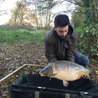 Combley Carp Stocking 22.11.2016 Image