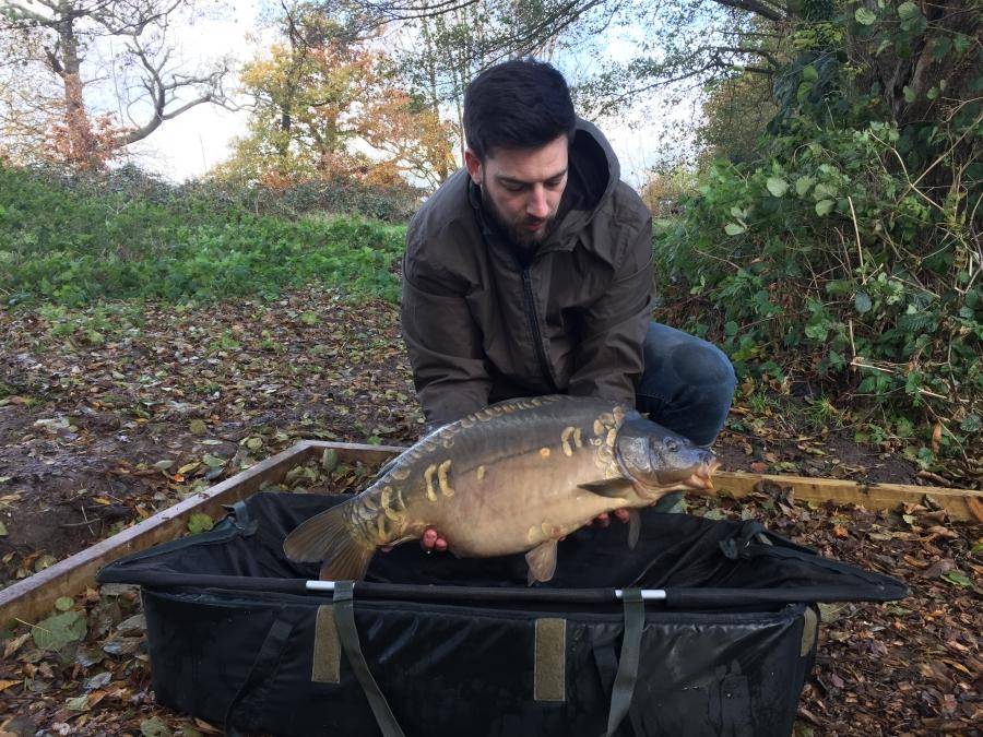 Combley Carp Stocking 22.11.2016 Image