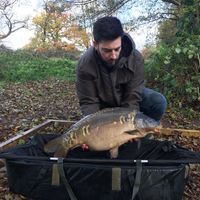 Combley Carp Stocking 22.11.2016 Image