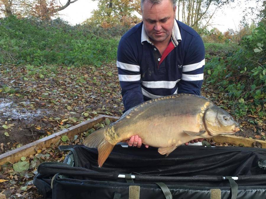 Combley Carp Stocking 22.11.2016 Image