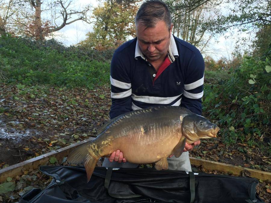 Combley Carp Stocking 22.11.2016 Image