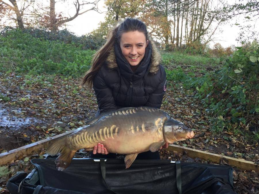 Combley Carp Stocking 22.11.2016 Image