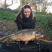 Combley Carp Stocking 22.11.2016 Image