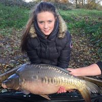 Combley Carp Stocking 22.11.2016 Image