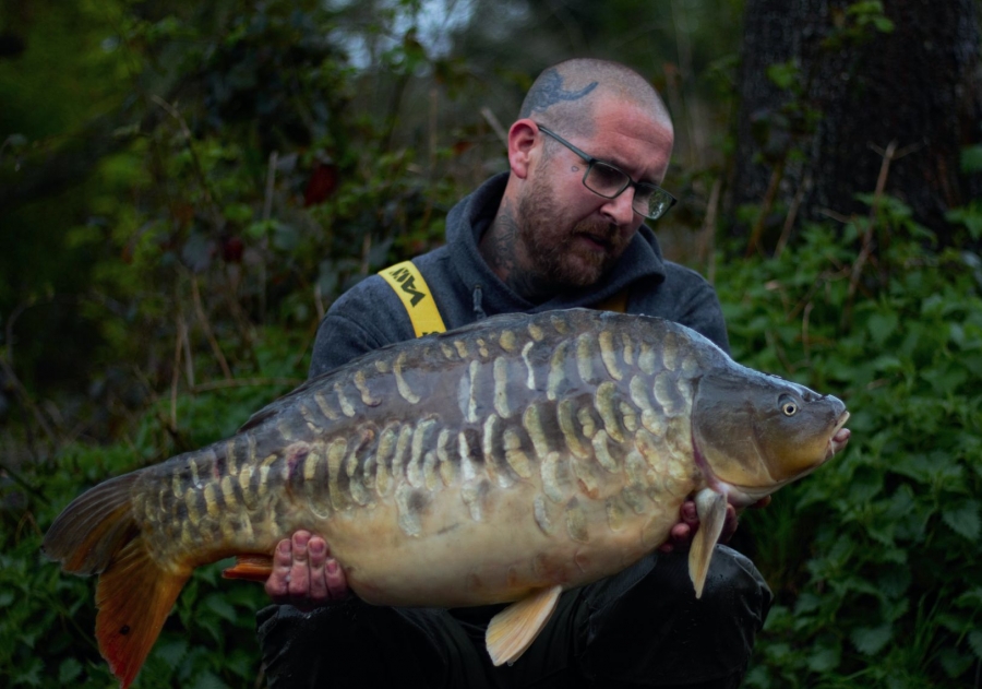 Recent Captures Image