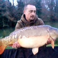 Recent Captures Image