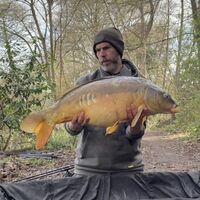 Recent Captures Image