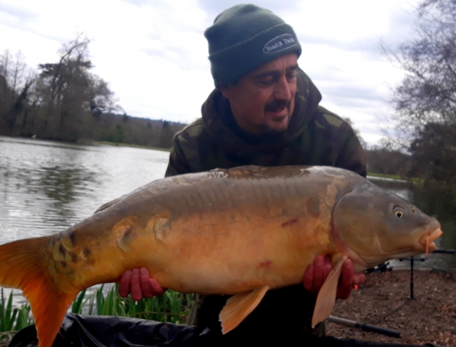 Recent Captures Image