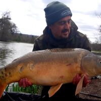 Recent Captures Image