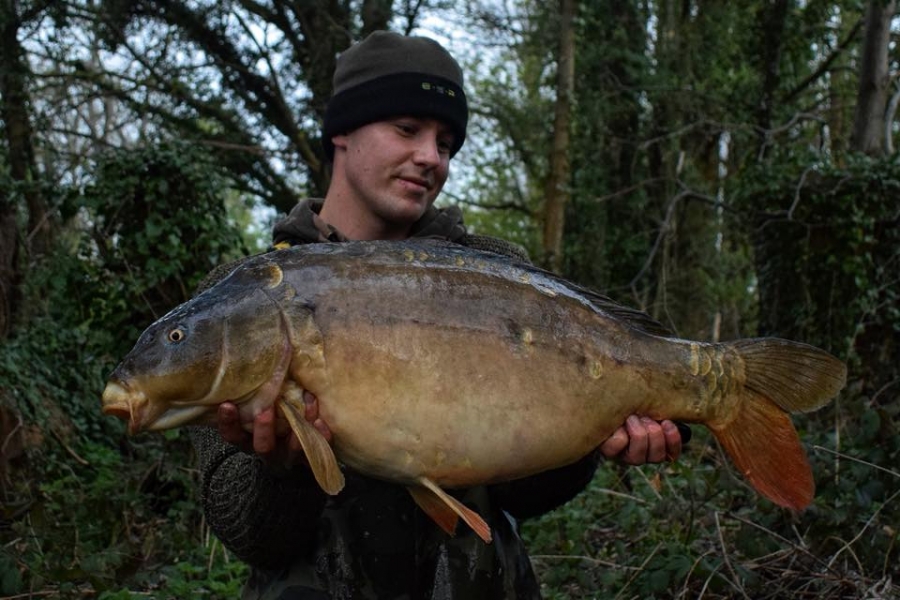 Recent Captures Image