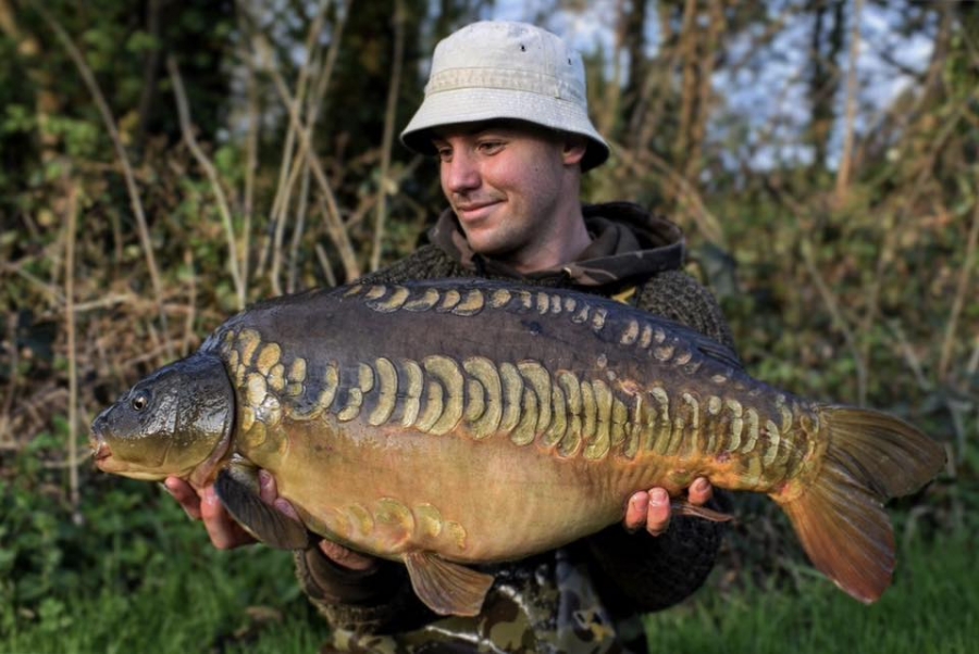 Recent Captures Image