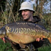 Recent Captures Image