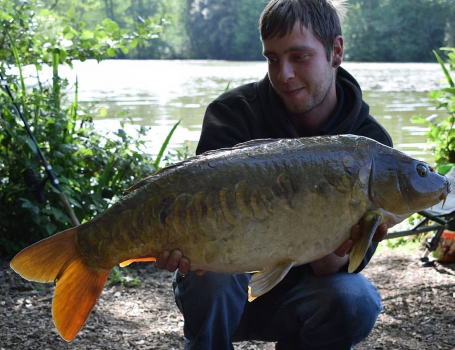 Recent Captures Image