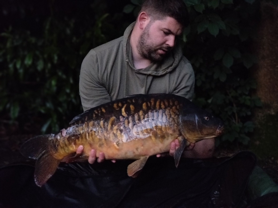 Recent Captures Image