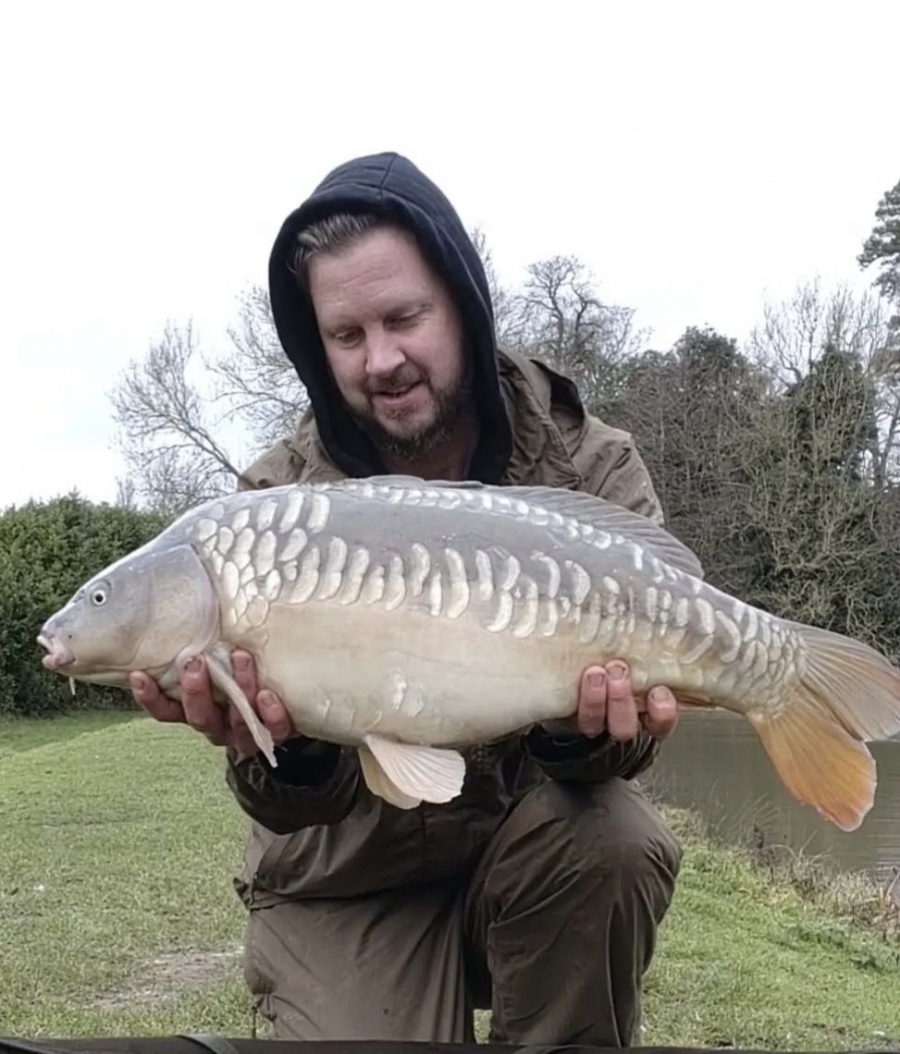 Recent Captures Image