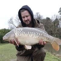 Recent Captures Image