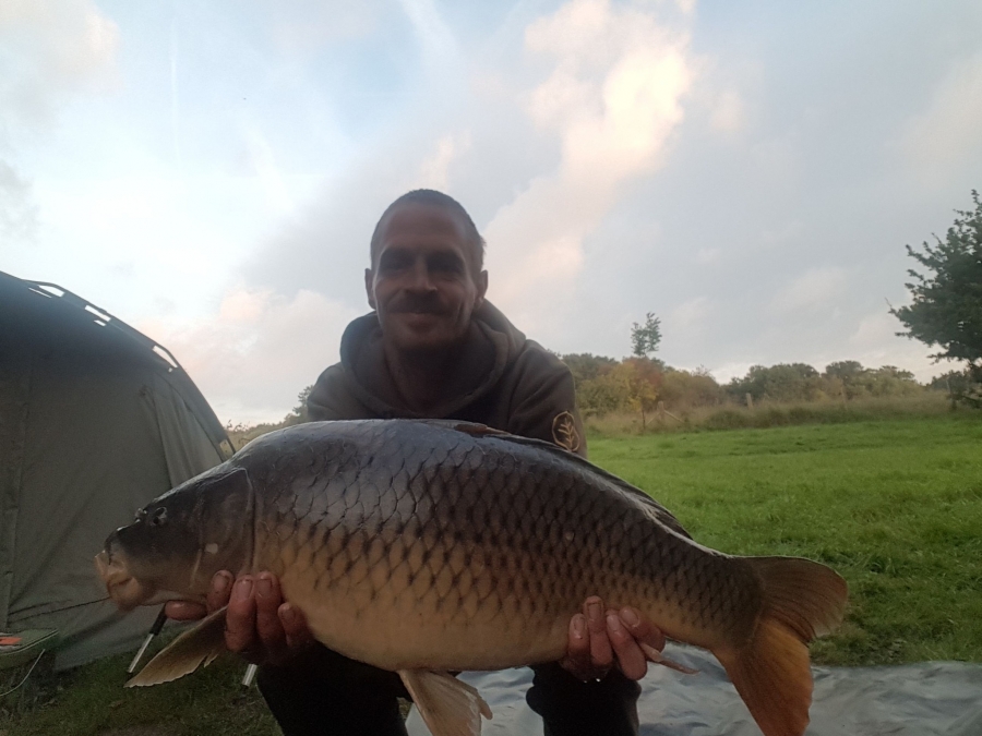 Recent Captures Image