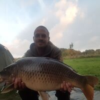 Recent Captures Image