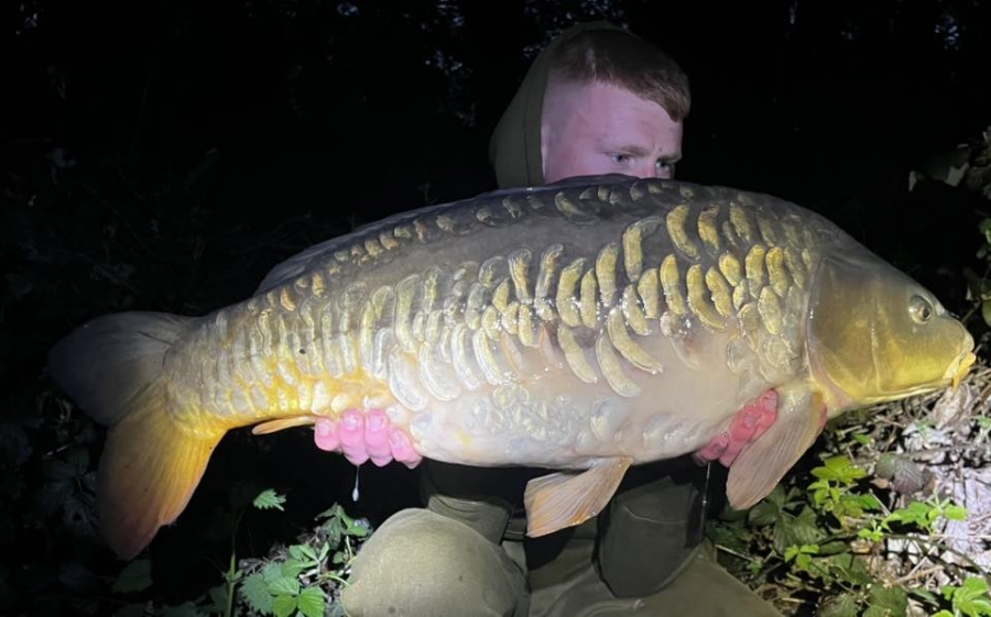 Recent Captures Image