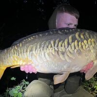 Recent Captures Image