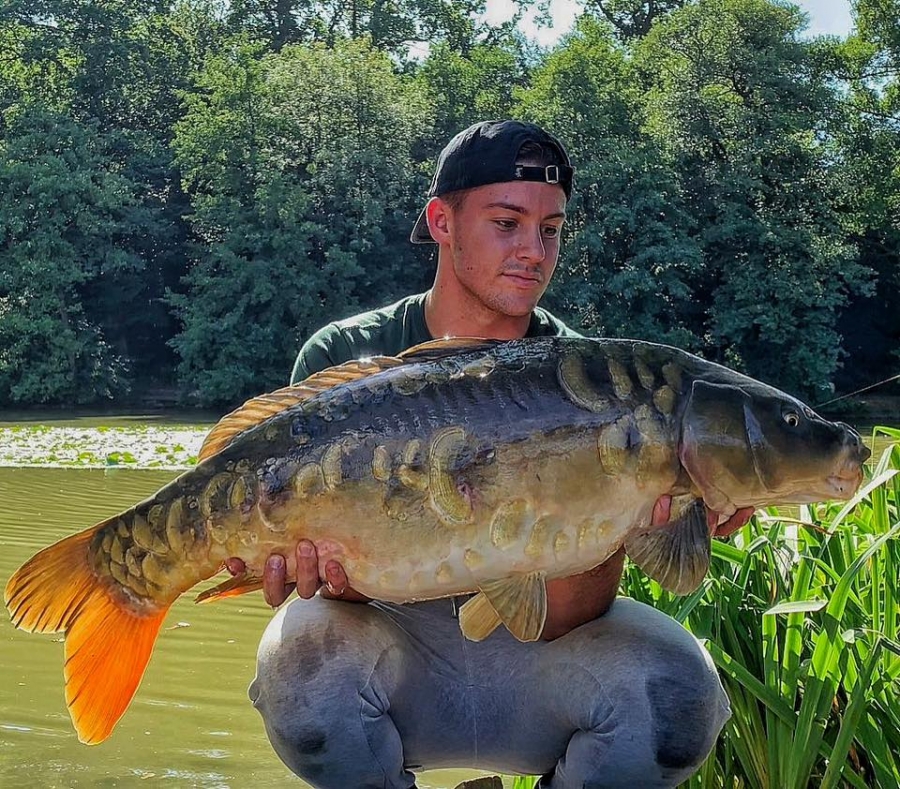 Recent Captures Image