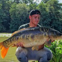 Recent Captures Image