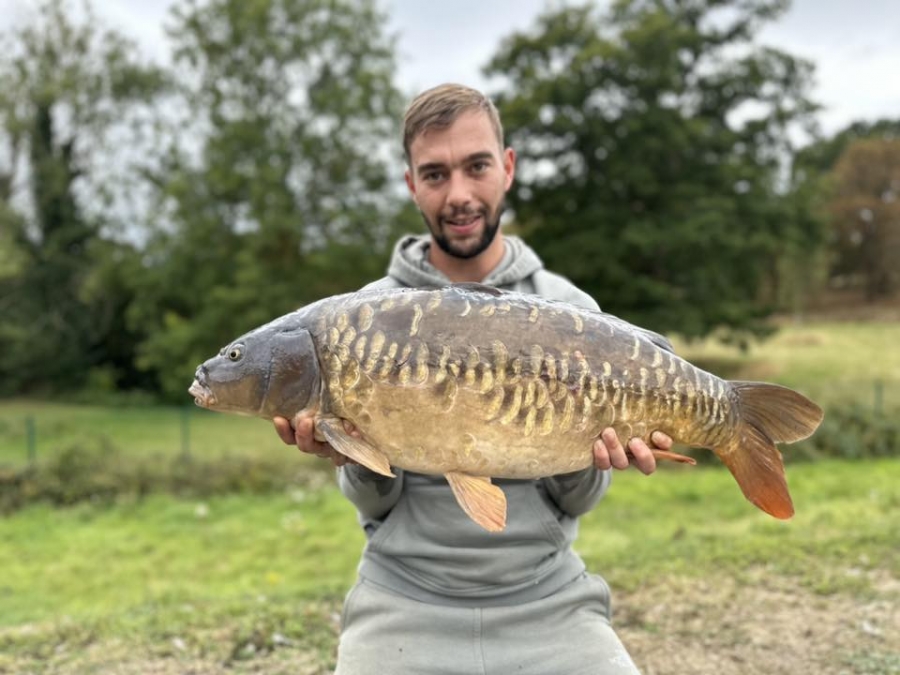 Recent Captures Image