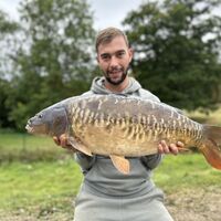 Recent Captures Image